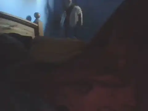 SHARPSkinheadn Webbikameraesitys