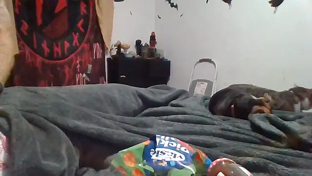 Chat XXX ao vivo de ThorsonFreja