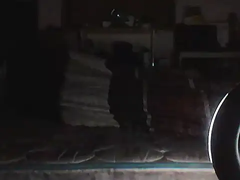 Show de webcam de CR3M3_FIR3