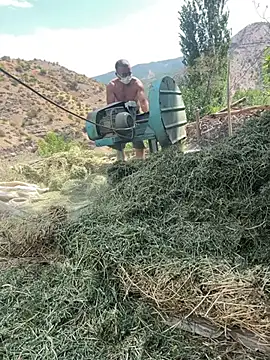 TurkeyMen36 Live XXX-chat