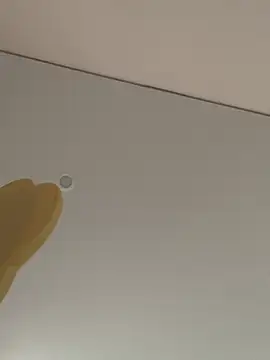 huynt20_ Live XXX-Chat