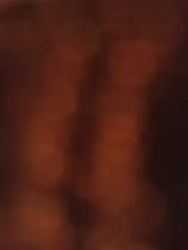 عرض كام Bogos147