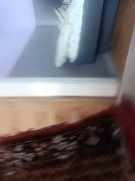 danyyyy31 웹캠 쇼
