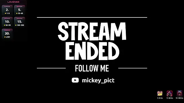 Show webcam de mickeypict
