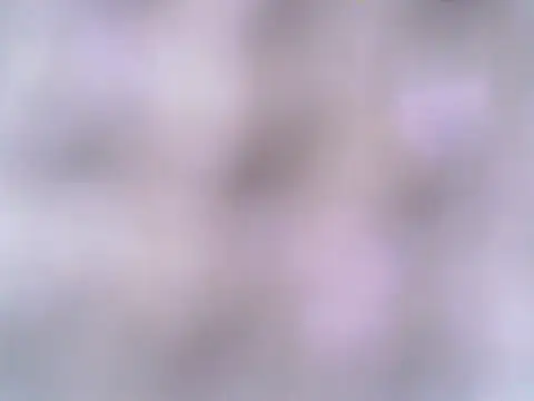 Sweetpinay_mature Live XXX-Chat