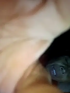 BaoHan22's Live XXX Chat