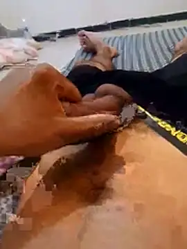 amarusmb Live XXX-Chat