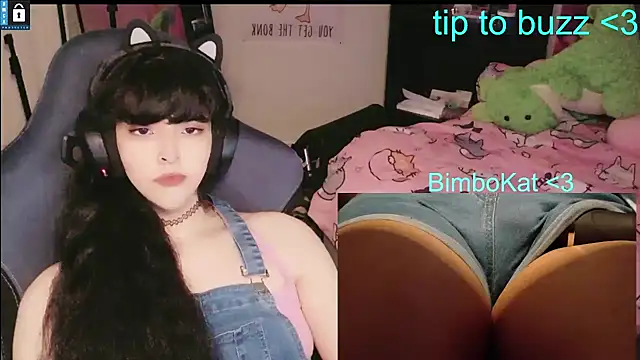 Show de webcam de BimboCat