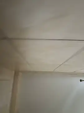 bella_d63 Obrolan Langsung XXX