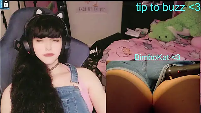 BimboCat: απευθείας συνομιλία ΧΧΧ