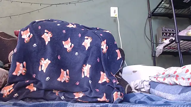 Chat +18 de FutaChi ao vivo