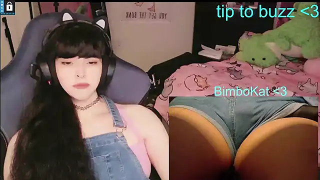BimboCat Obrolan Langsung XXX