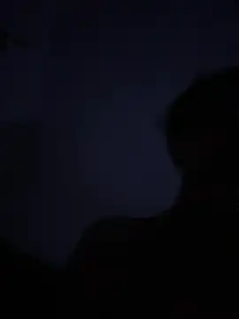 Toyjungee Live XXX-chat
