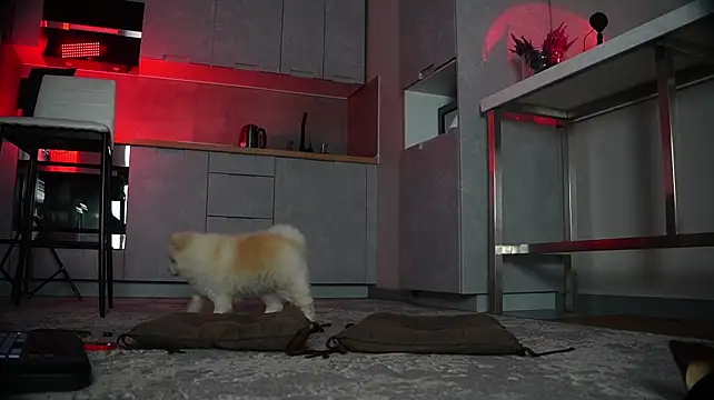 Živý XXX chat Anna_Purna