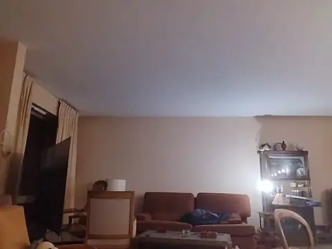 Chnrt Pertunjukan Webcam
