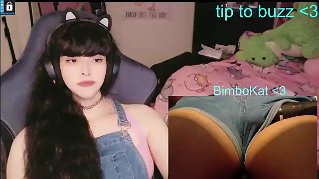 BimboCat Chat XXX live