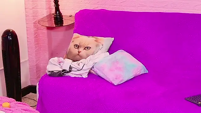 Chat XXX ao vivo de VainillaSecret