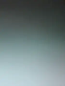 Chat XXX en directo de Musae