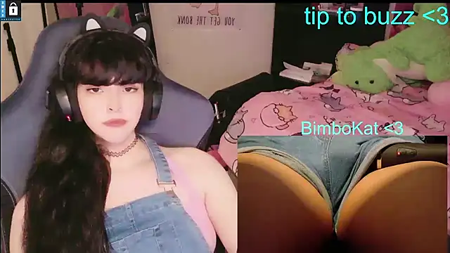 BimboCat live XXX chat