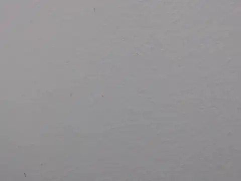 Adriana_0312's Live XXX Chat