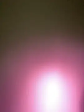 Pornhouse420 现场XXX聊天