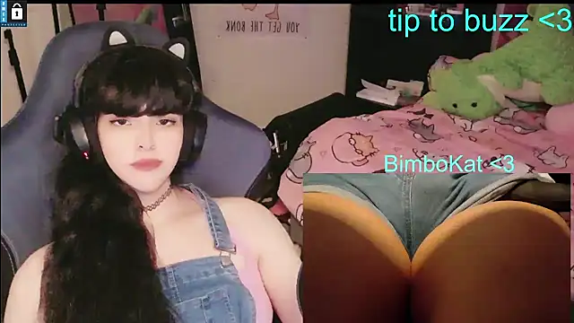 BimboCat Live XXX-Chat