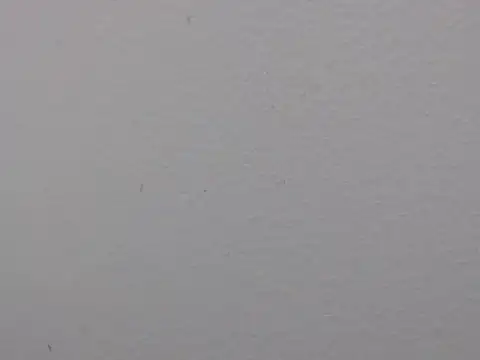 Adriana_0312のライブXXXチャット