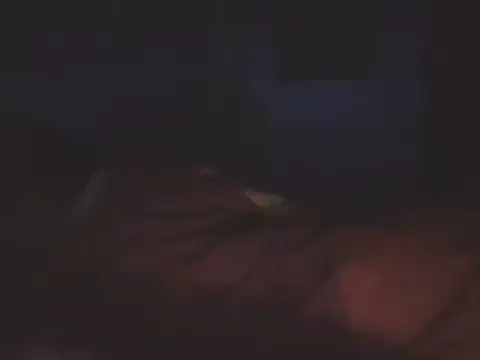 SHARPSkinhead's Live XXX Chat