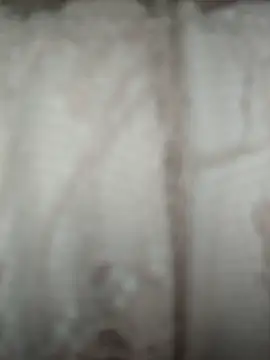 Chatroom XXX en direct de Coral_hi