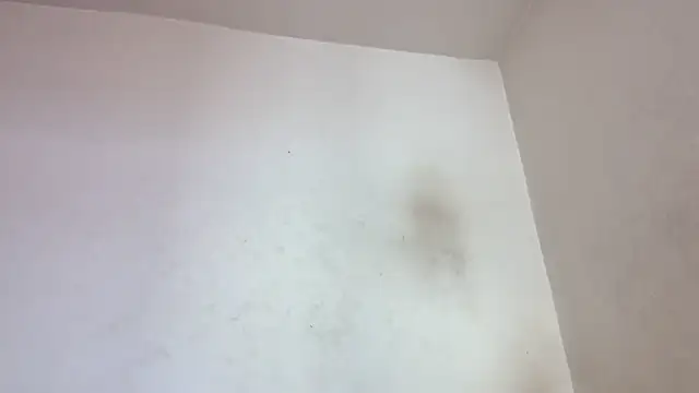 lecksklavehard Obrolan Langsung XXX