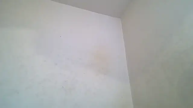 lecksklavehard live XXX chat