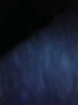 Bigloggz Show in webcam
