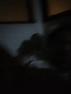 abelito2021's Live XXX Chat