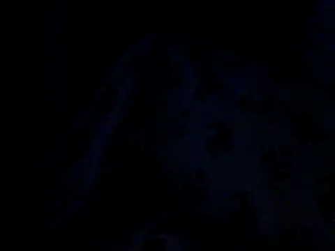 Živý XXX chat Silencio26