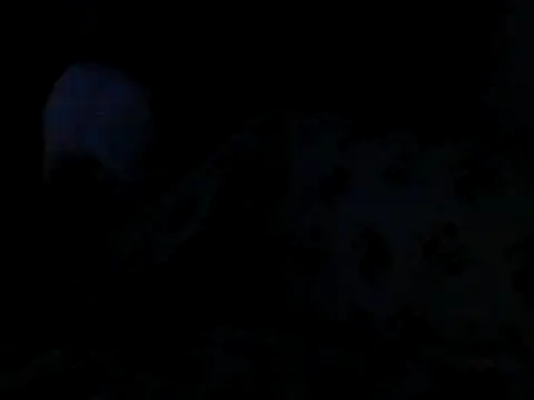 Silencio26 现场XXX聊天
