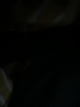 Webkamerová show Centjesduizend