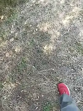 frenchblackc31 라이브 XXX 채팅