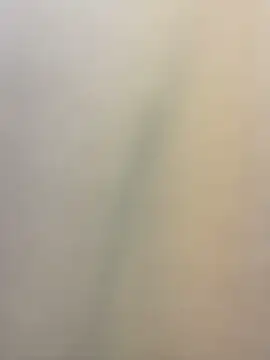 Chat +18 de dayis_butera ao vivo