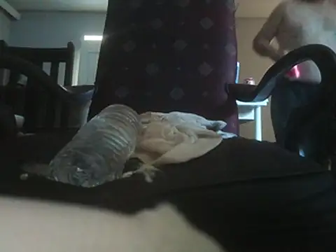 watchingme webkamerás műsora