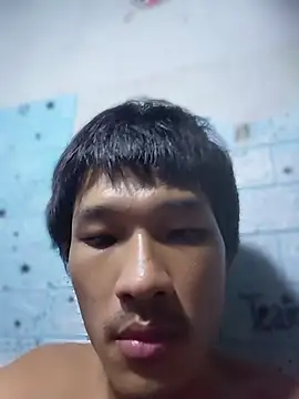 Teamnoin Webbikameraesitys