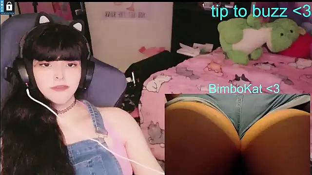 BimboCat লাইভ XXX চ্যাট