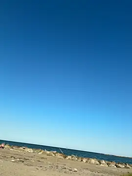 pegaso369 라이브 XXX 채팅
