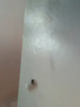 aixhaebonysex 라이브 XXX 채팅