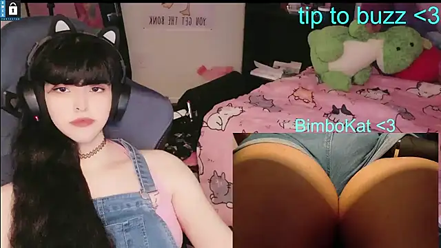BimboCat live XXX chat
