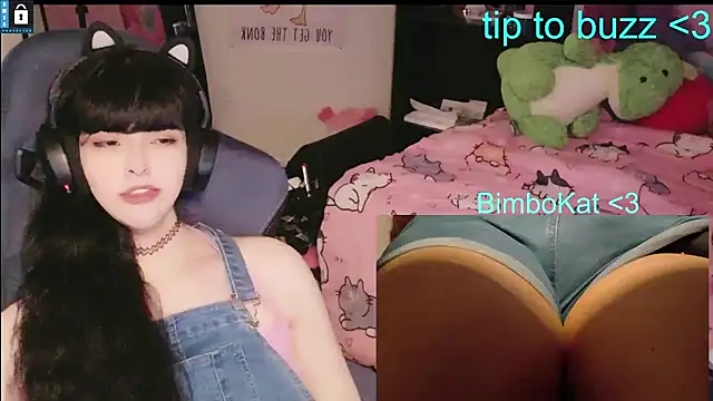 BimboCat Chat XXX live