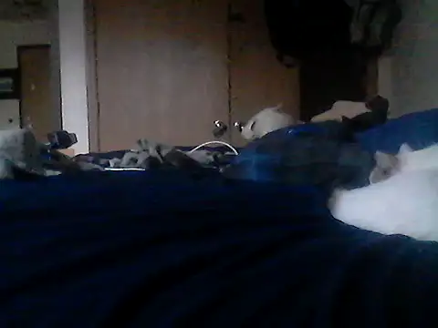Silencio26's Live XXX Chat