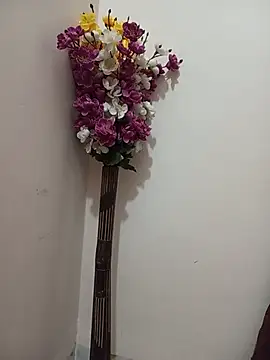 Tanha18 现场XXX聊天