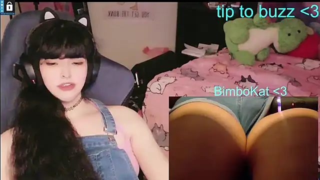 دردشة BimboCat الجنسية المباشرة