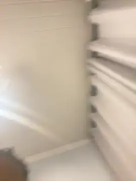 Pertunjukan Kamera Web Kelvin4800
