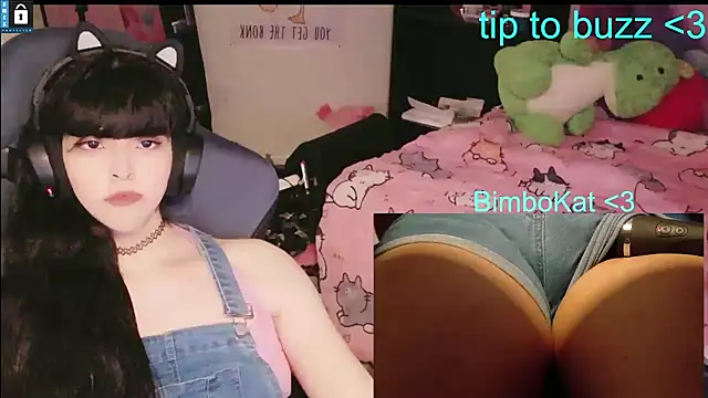 BimboCat: απευθείας συνομιλία ΧΧΧ